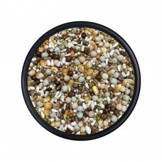 Damızlık Güvercin Yemi